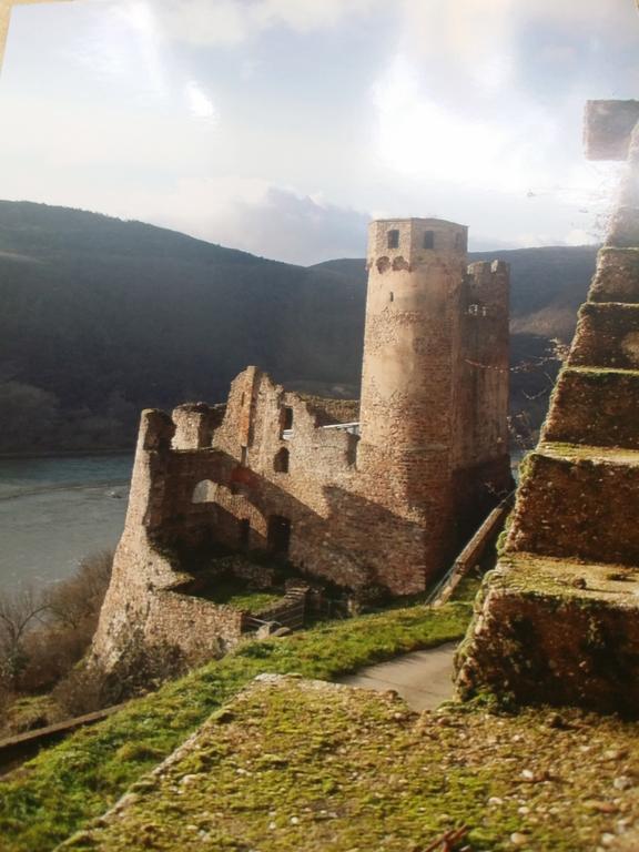 Pension Johanna Rüdesheim am Rhein Exterior foto